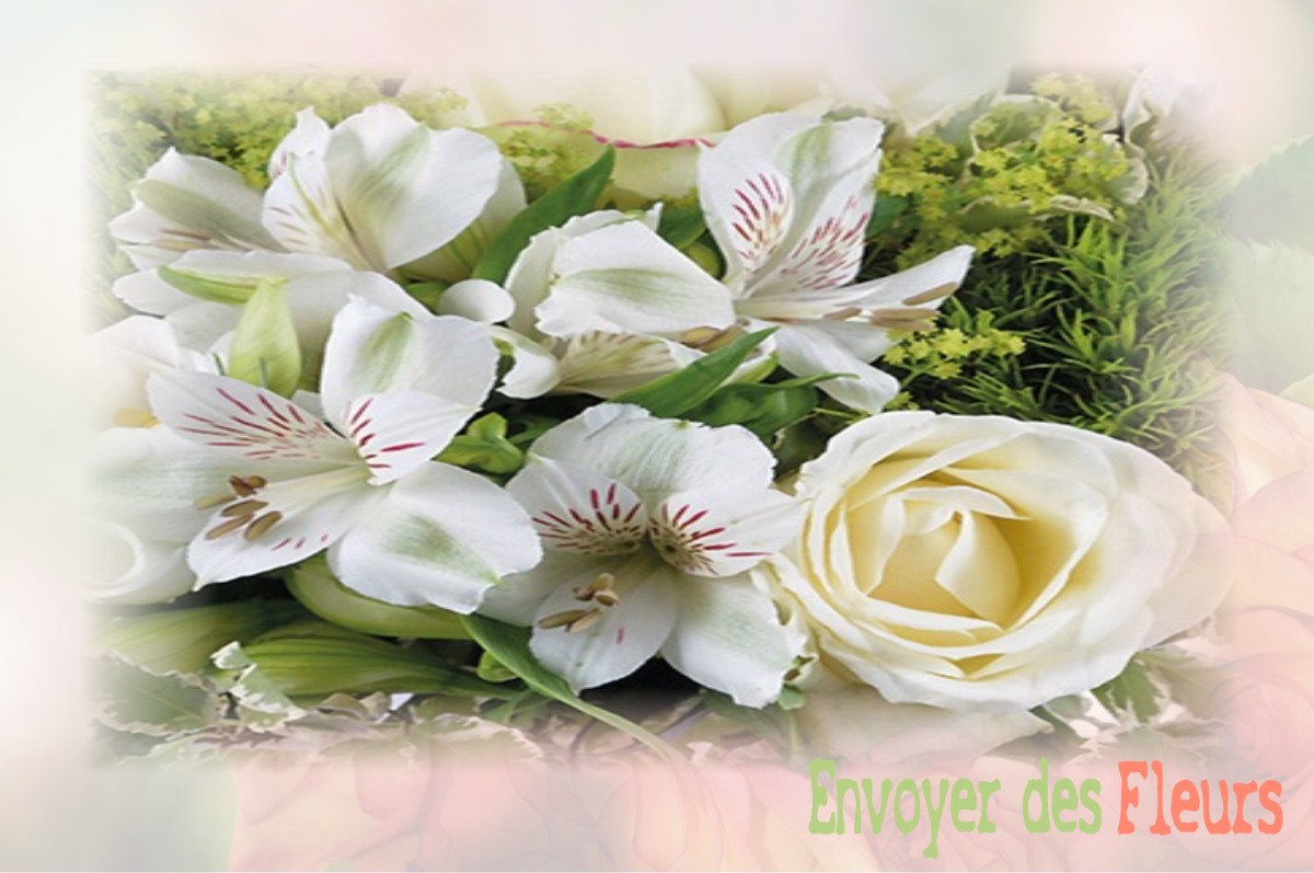 envoyer des fleurs à à AMBERIEUX-EN-DOMBES